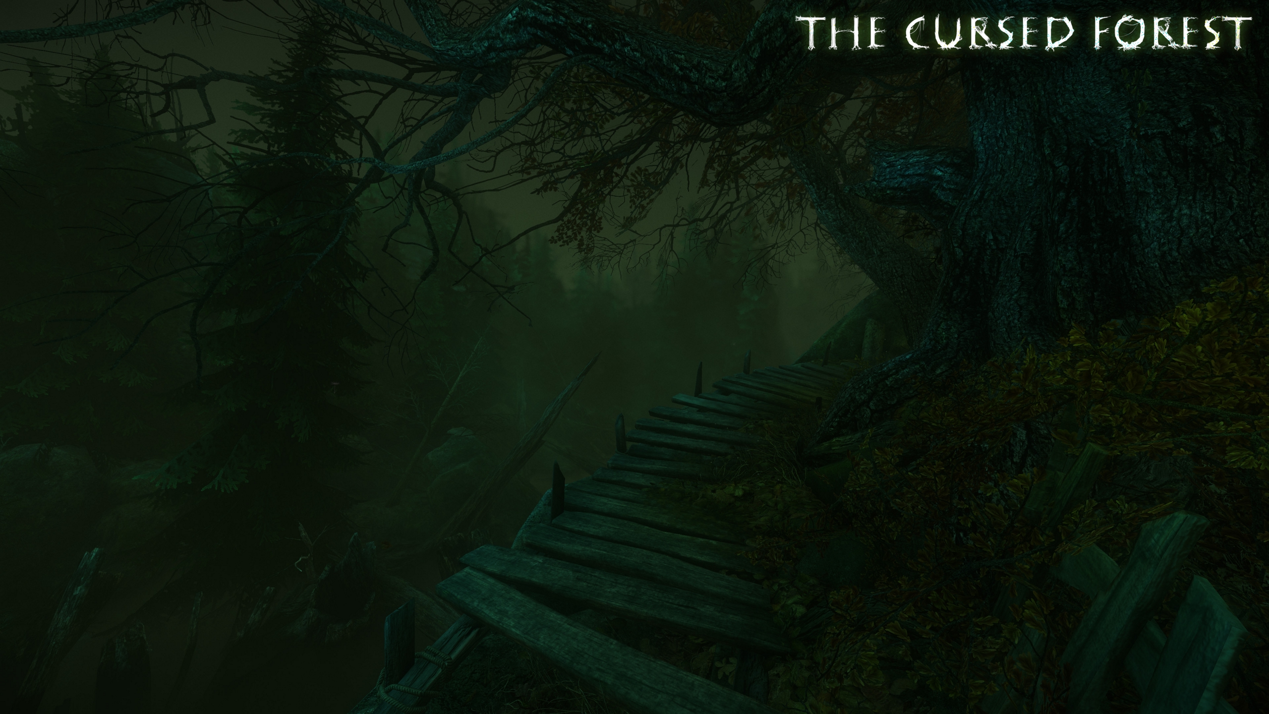 The cursed forest прохождение