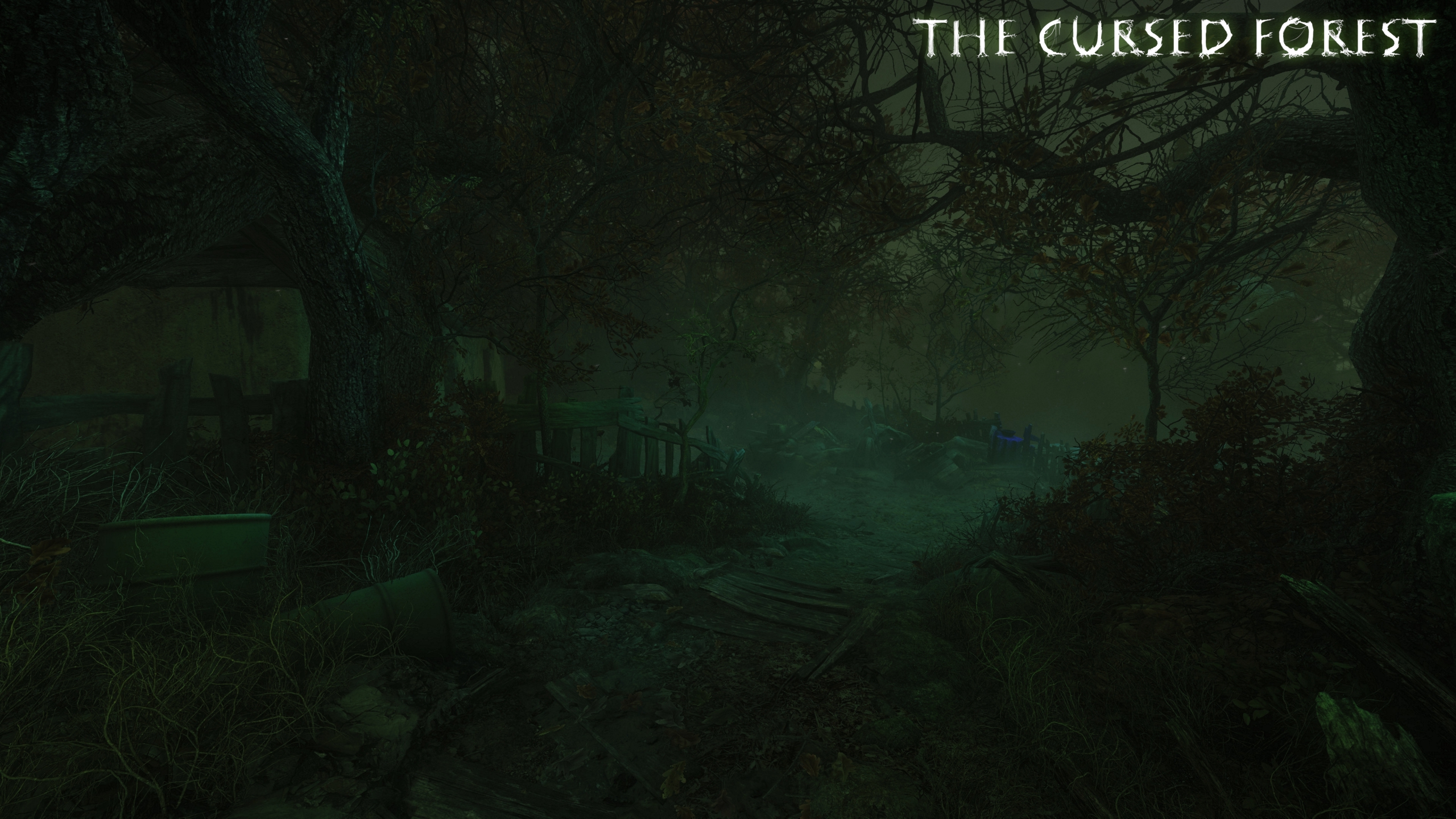 The Cursed Forest – First Person Exploration-horror game