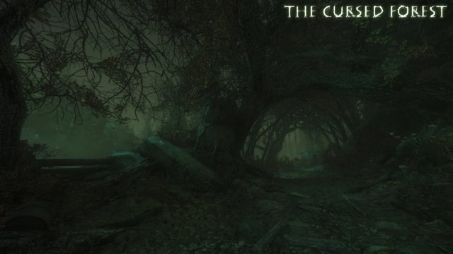 The cursed forest прохождение